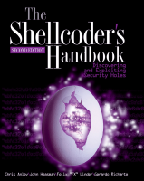 The Shellcoders Handbook.pdf